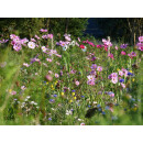 Blumenwiese "Vögel"